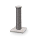 PetRebels The Rebels Savannah 86