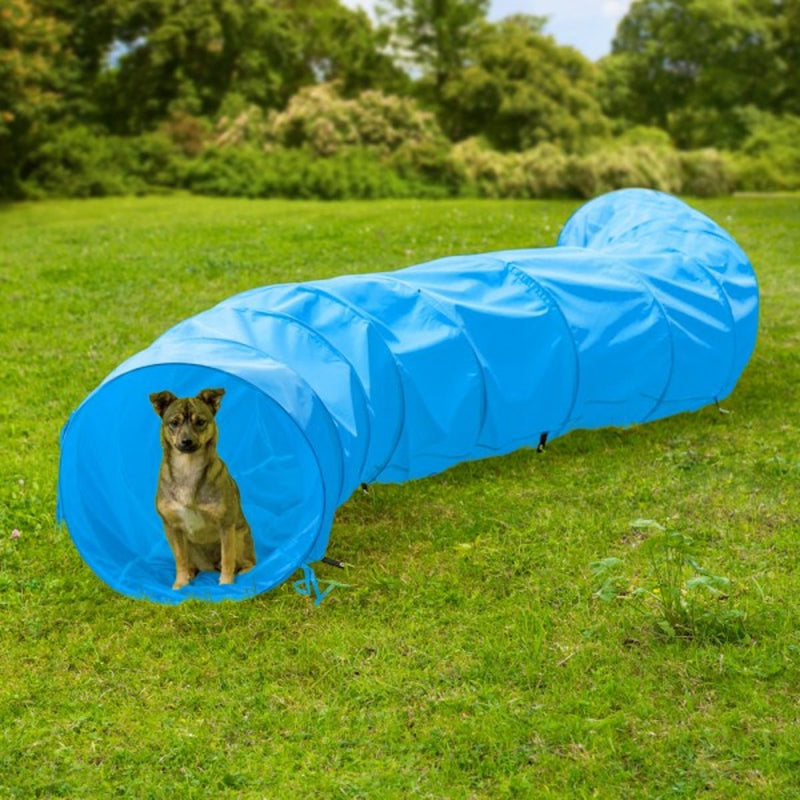 Boon Agility-tunnel nylon 500x60 cm, blauw/zwart. - Dierplezier.nl