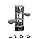 PetRebels Kings & Queens Catharina 160 - Dierplezier.nl