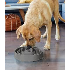 Honden voeding bak Schrokbak  OH Fun Feeder Grijs 20/27 Cm