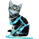 Katten tuig Boon Kittentuig nylon met lijn neon, blauw reflecterend.