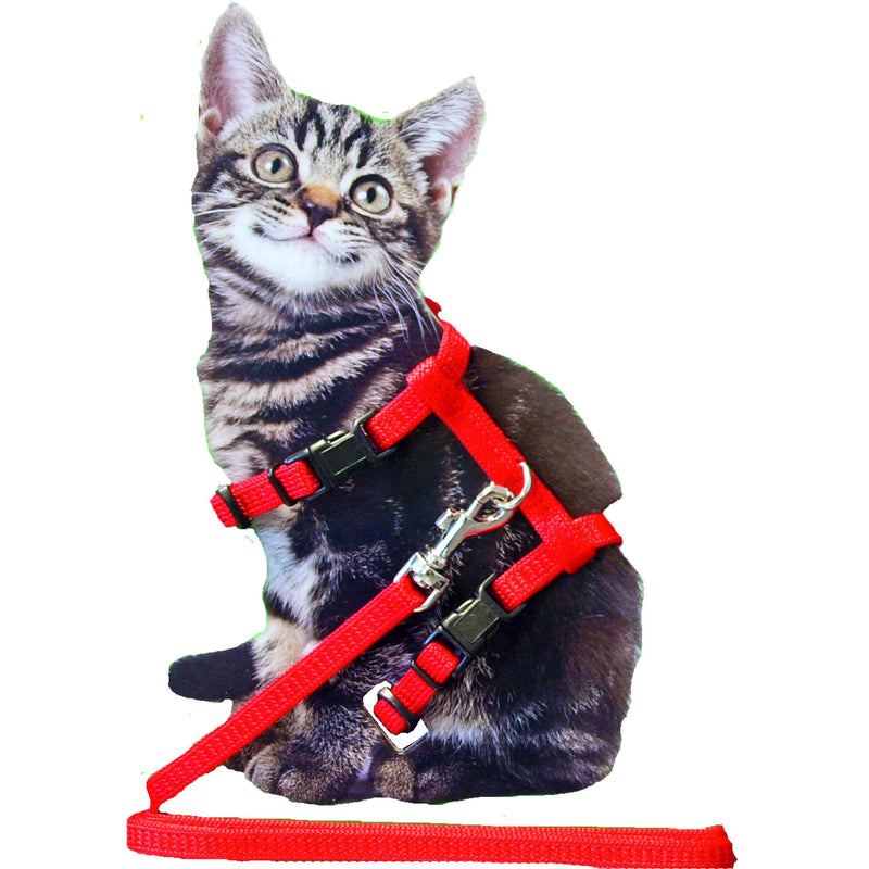 Boon kitten tuig nylon met lijn, rood.