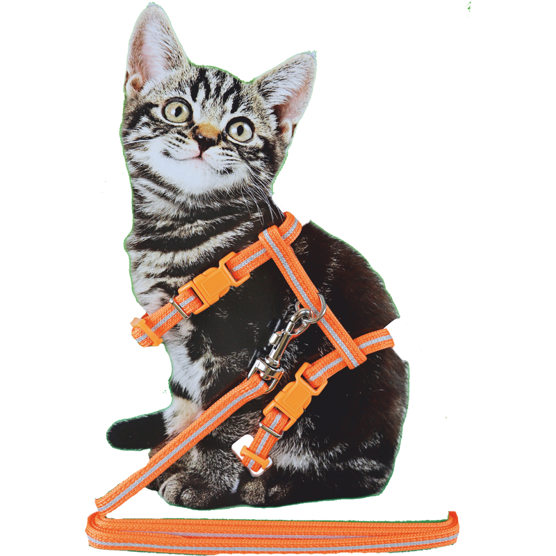 Katten tuig Boon Kittentuig nylon met lijn neon, oranje reflecterend.