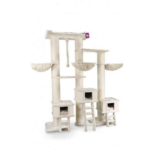PetRebels The Rebels Ragdoll 230