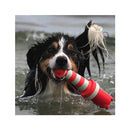 Rogz Lighthouse - Dierplezier.nl