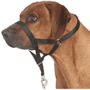 Halti,s headcollar zwart