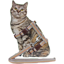 Katten tuig Nylon kattentuig met lijn en stiksel, mocca.