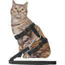 Katten tuig Boon Volwassen Nylon katten tuig met lijn, zwart.