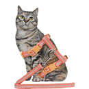 Katten tuig Nylon kattentuig met lijn en stiksel, coral.