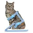 Katten tuig Nylon kattentuig met lijn en stiksel, lichtblauw.