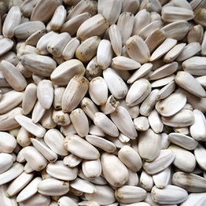 Dierplezier witte zonne pitten - Dierplezier.nl